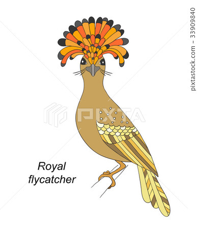 Tropical Bird Hand Draw On A White Background Stock Illustration 33909840 Pixta