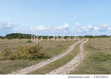Winding dirt road in wilderness Winding dirt road in wilderness 33910931