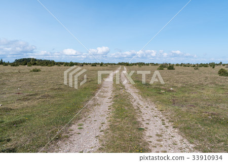 Dirt road straight into a wide open flatland Dirt road straight into a wide open flatland 33910934