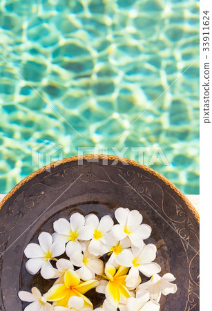 white and yellow frangipani flowers  33911624