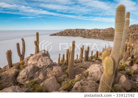 Fish Island in Salar Uyuni Bolivia Fish Island in Salar Uyuni Bolivia 33912592