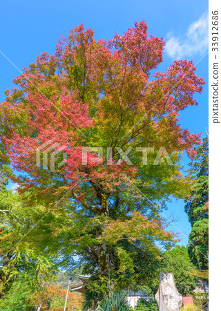 Hikoshiyama秋葉 Hikoshiyama秋葉 33912686