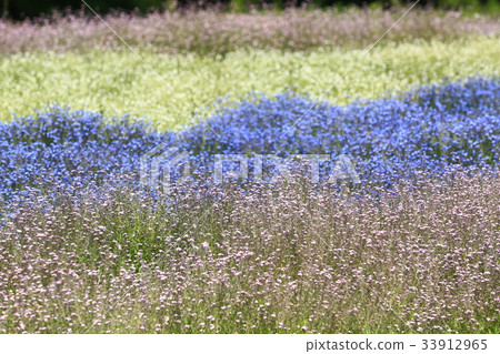 Wasserena 141 33912965