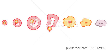 Change of follicle 33912992