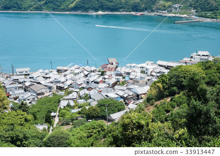 御茶Os縣大崎島 33913447