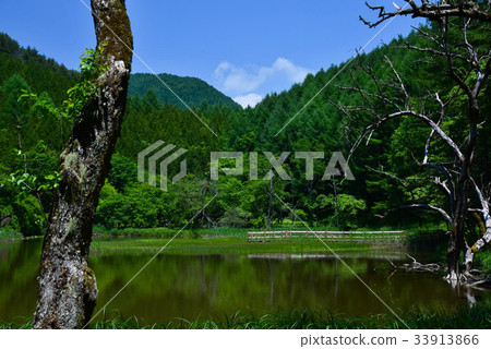 Mountains and Oike 33913866