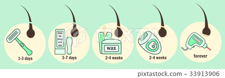 Hair removal methods and growth time infographic Hair removal methods and growth time infographic 33913906