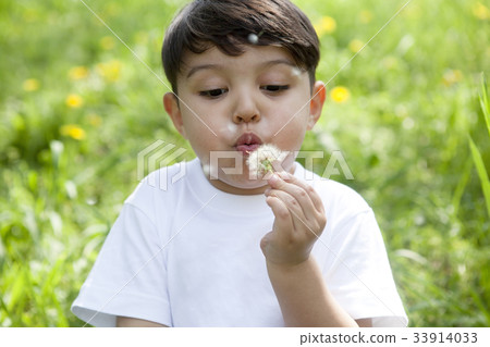 Boy Dandelion 33914033