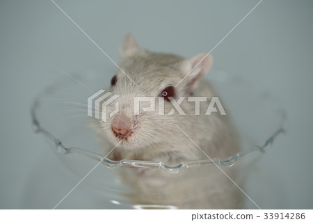 彩色罐子建築 彩色罐子建築 33914286