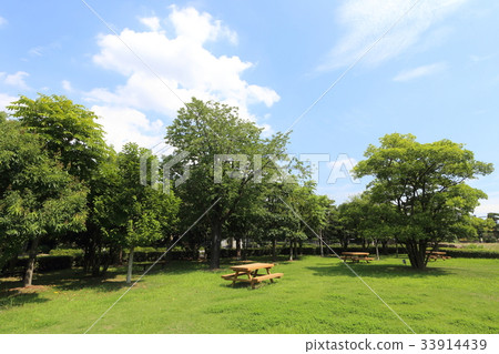  公園 33914439