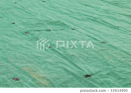 由固定的針股票照片固定的反草板的圖像 33914995