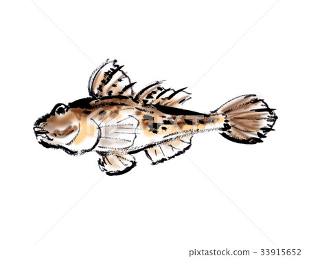 蝦虎魚 33915652