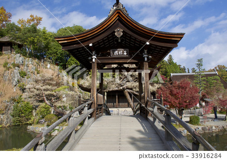 Autumn leaves of Torukeisan Eho-ji Temple Autumn leaves of Torukeisan Eho-ji Temple 33916284