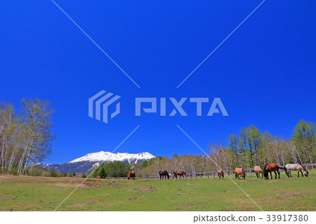 Kiso Ma和Ontakayama Kiso Ma和Ontakayama 33917380