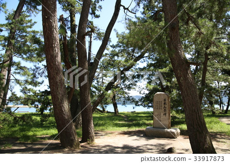 天橋立公園 天橋立公園 33917873