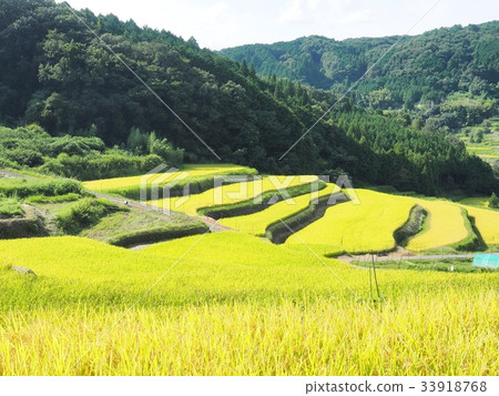 田田風光稻田稻田稻田稻田稻田稻田稻田稻田100選擇日本稻田稻田 33918768