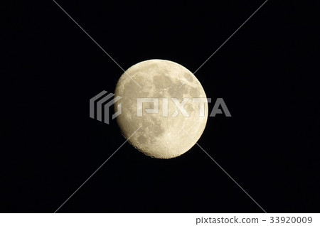 Dear Moon Dear Moon 33920009