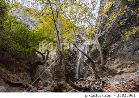 A view of a small waterfall in troodos mountains 33923961