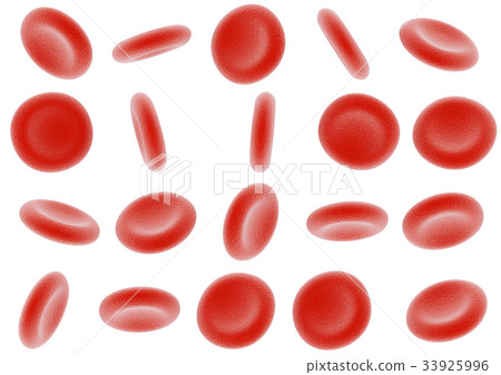 Erythrocyte 33925996