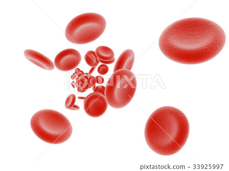 紅血細胞 33925997