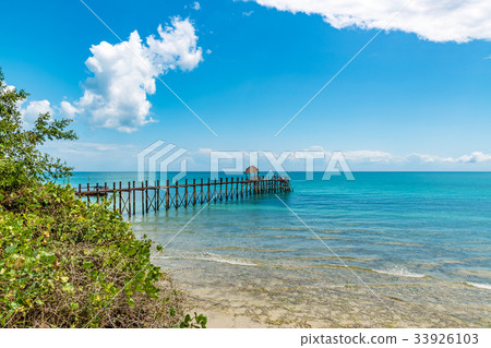 桑給巴爾海岸（坦桑尼亞，桑給巴爾） 33926103