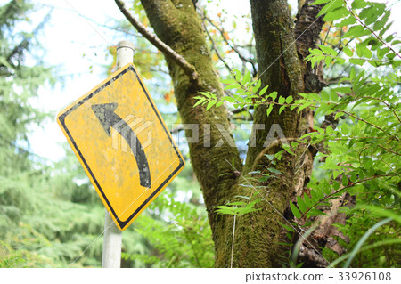 路標在森林 33926108