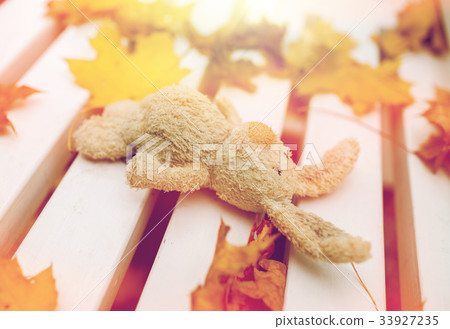 toy rabbit on bench in autumn park toy rabbit on bench in autumn park 33927235