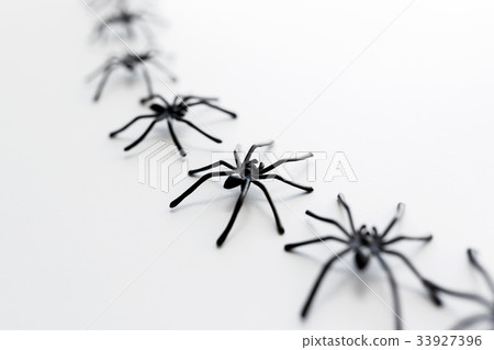 black toy spiders chain over white background black toy spiders chain over white background 33927396