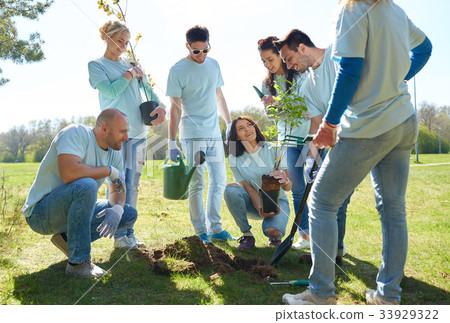group of volunteers planting tree in park 33929322