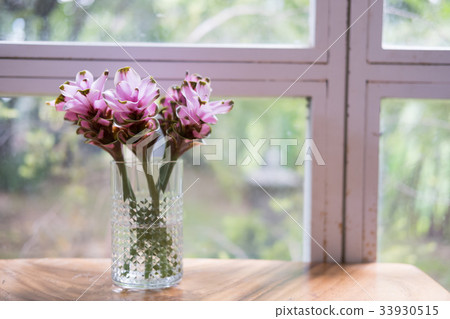 pink siam tulip flower in vase on wood table near window. decoration and interior 33930515