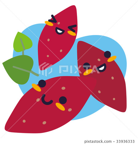 甘藷父母和孩子（天藍色） 33936333