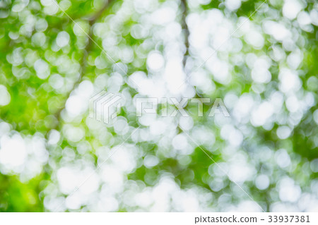 Blur Green bokeh nature abstract background Blur Green bokeh nature abstract background 33937381