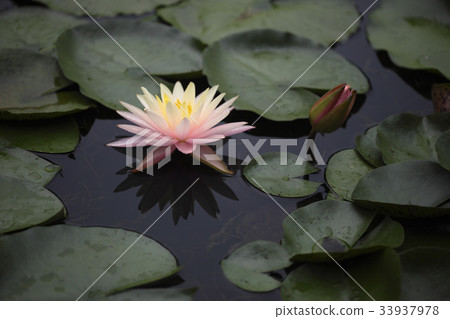 training training 33937978