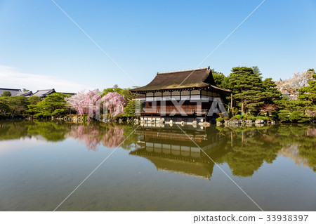 天堂金谷支櫻花 33938397