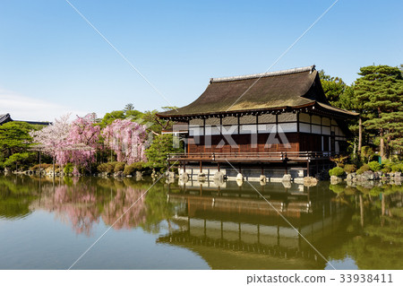 天堂金谷支櫻花 33938411