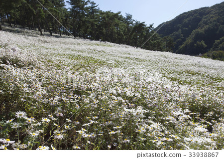 Jungjaecho, Okjeonghoe Seongseocho Theme Park, Jeongeup, Jeonbuk 33938867