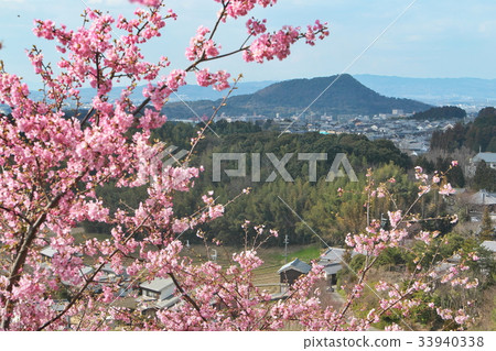 Spring of Asuka Spring of Asuka 33940338