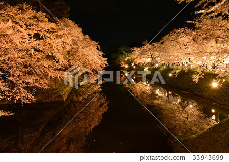 Cherry blossoms at night 33943699