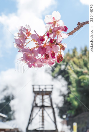 Kawazu Sakura Kawazu Machi溫泉巨型噴泉公園 33944076