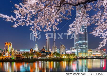Lotte World amusement park at night 33944563