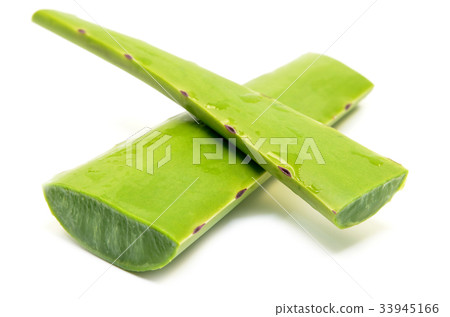 Aloe vera fresh leaf isolated Aloe vera fresh leaf isolated 33945166