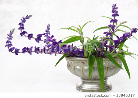Amethyst Sage Flower Arrangement 33946317