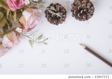 closeup pencil on calendar with rose flower.  33947372