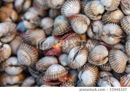 Fresh raw sea cockles clams at seafood market 33948107