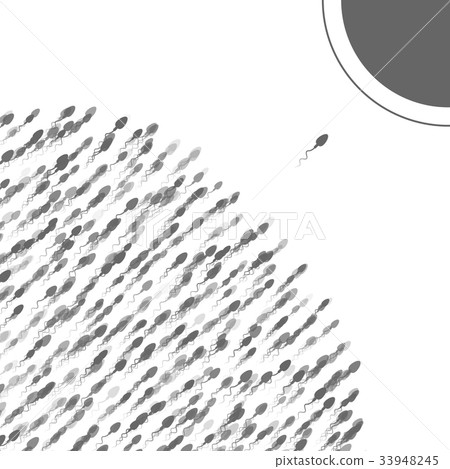 A lot of spermatozoa rushed to the egg A lot of spermatozoa rushed to the egg 33948245