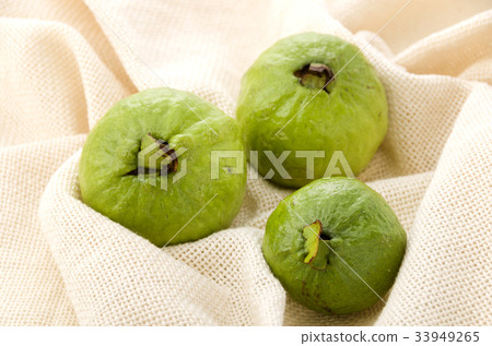 Guava Guava 33949265