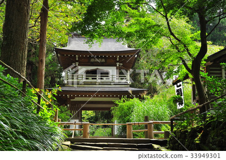 Kamakura City: The gate of Jochiji Temple in Kita Kamakura, which is covered with greenery (bell tower gate) Kamakura City: The gate of Jochiji Temple in Kita Kamakura, which is covered with greenery (bell tower gate) 33949301