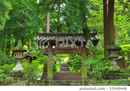 鎌倉市、北鎌倉淨智寺 綠樹成蔭的宗門 鎌倉市、北鎌倉淨智寺 綠樹成蔭的宗門 33949446