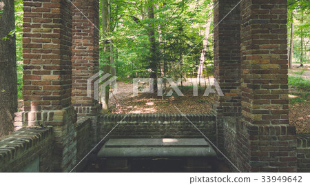 Dutch Summer 33949642