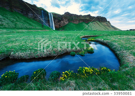 Sunrise on Seljalandfoss waterfall 33950081